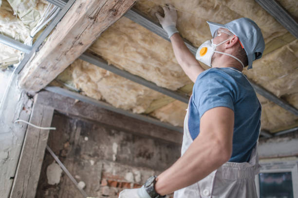 Types of Insulation We Offer in West Linn, OR
